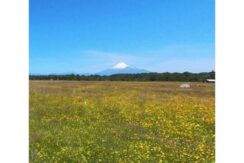 Hermosa parcela con vistas a volcanes